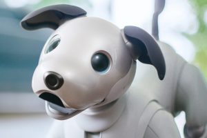 Sony Aibo: AI Infused Robotic Dog Back to Life