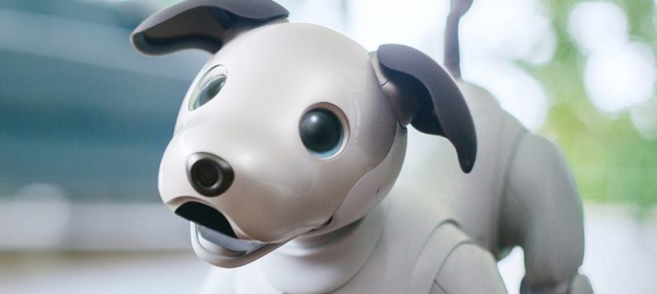 Sony Aibo: AI Infused Robotic Dog Back to Life
