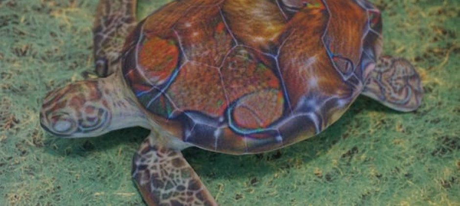 Shotgun Shell: Google’s Object Recognition AI  thinks This Turtle is a Rifle