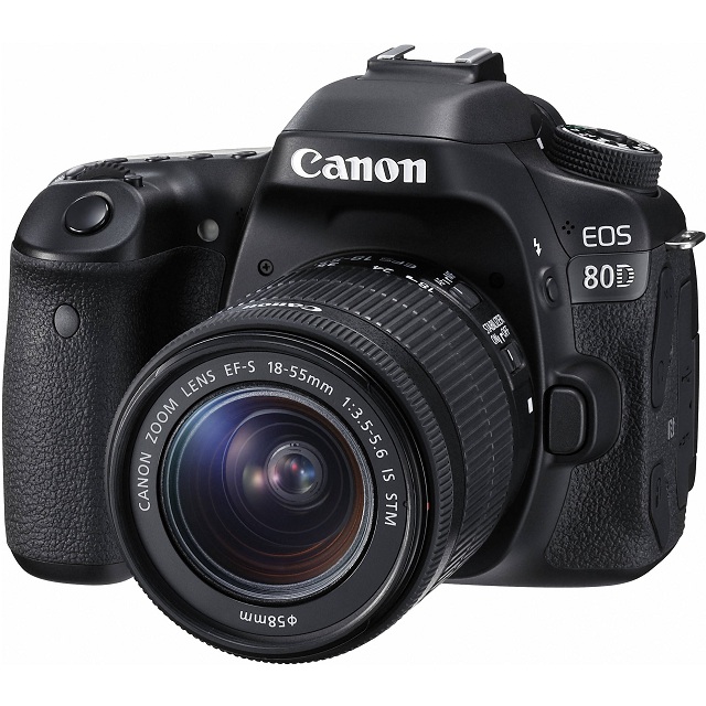 Best DSLR Cameras