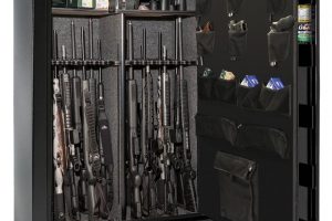 Best Gun Cabinet and Storage